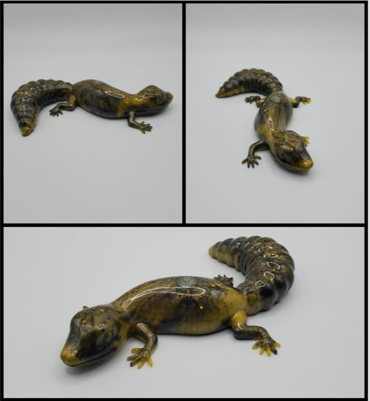 Salamander Décor