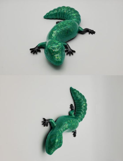 Salamander Décor